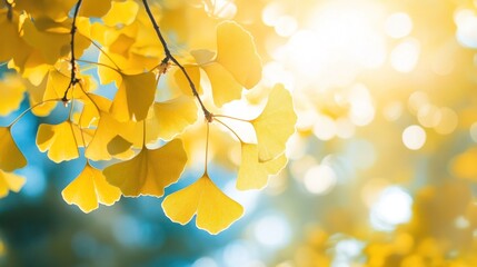 Obraz premium A tree branch is filled with bright yellow leaves that are basking in the sunlight. The leaves are arranged in a way that they are all facing the sun, creating a beautiful and vibrant scene