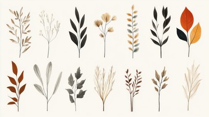 Illustrative Botanical Elements