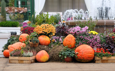 decorations of ripe pumpkins and autumnal seasonal flowers on street farm market. Symbol of...