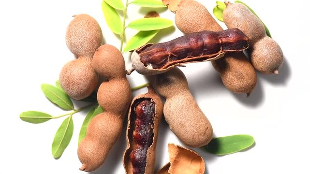 Tamarind fruit isolated on white background. Tamarind tropical pods with leaves rotating. Fresh Tamarind pods with leaves (Tamarindus indica, Indian date), healthy vegan food close up, from above. 