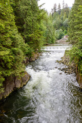 A fast-flowing river in a forested area near Cleveland Dam in North Vancouver, British Columbia