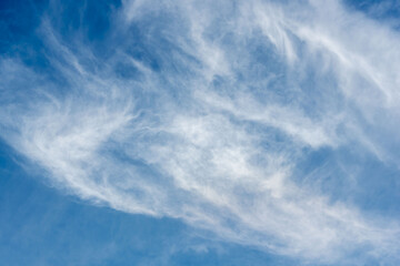 秋の空と雲021