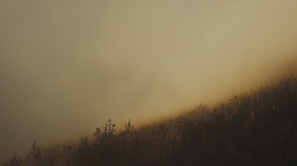 Naklejka premium Ethereal Marsh Sunrise A Tranquil Moment of Natural Beauty Captured in the Soft Misty Light of Dawn over a Scenic Wetland Landscape