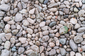 A collection of smooth pebbles of varying sizes, shapes, and colors. Most of the stones are in muted tones of gray, beige, and light brown, with occasional hints of green and faint orange.