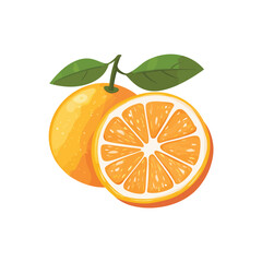 Citrus Orange Vector Graphic Illustration for Print and Web