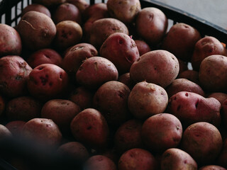 potatoes in market