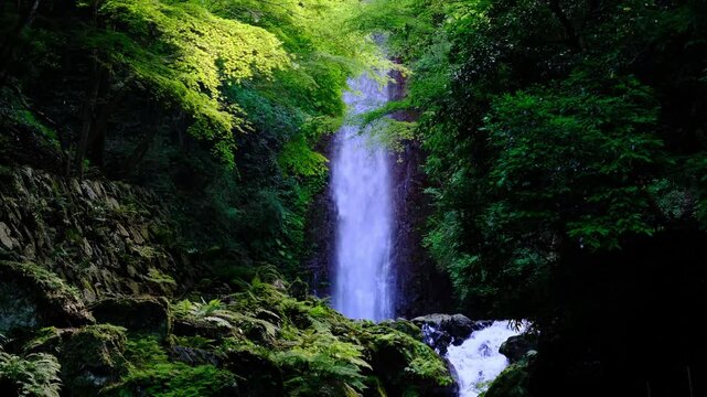 岐阜県にある名瀑　養老の滝　
