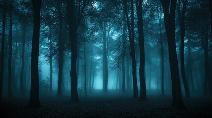 Obraz premium Mysterious Foggy Forest at Twilight