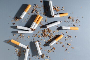 Broken cigarettes and scattered tobacco on grey background. Smoking cessation and quitting concept. World no tobacco day.