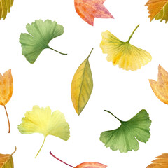 Fototapeta premium Ginkgo, autumn leaves seamless pattern isolated on white background. High quality hand-painted detailed textured watercolor perfect for textile, wrapping paper, stationary, decor. Yellow, orange
