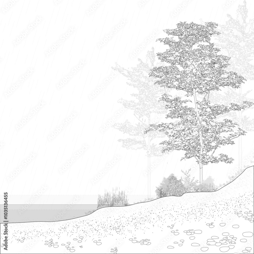 Poster architectural drawings, minimal style cad tree line drawing, side view, set of section wetland fores