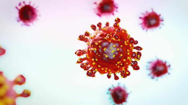 Oropouche virus that causes Oropouche fever, an emergent disease from the Americas 3d rendering 
