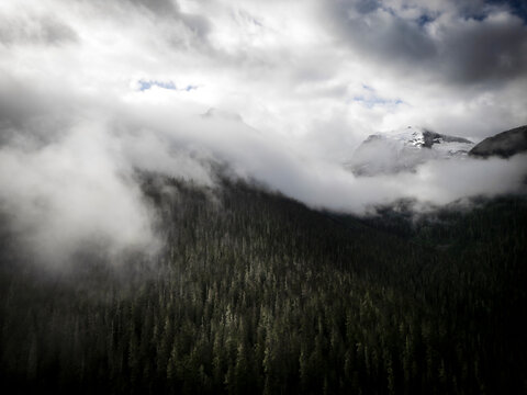 Aerial view of serene forest and tranquil lake under a cloudy sky, Agassiz, British Columbia, Canada.
