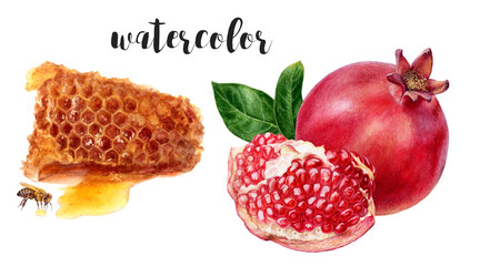 Hand-Painted Watercolor Honeycomb and Pomegranate Botanical Illustration