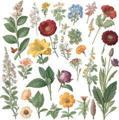 Flowers floral pattern on white background