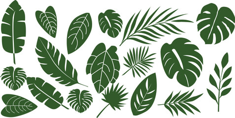 Set of tropical leaves and palm fronds vector illustration.