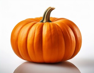 Obraz premium big orange pumpkin isolated on white background