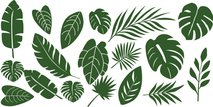 Set of tropical leaves and palm fronds vector illustration.