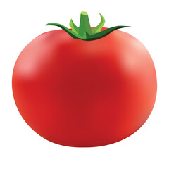 Realistic juicy red hot tomato vegetable vector illustration.