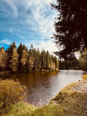 autumn in the forest near by Schöneck, Vogtland, saxony