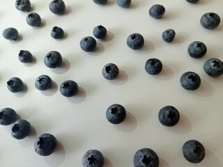 blueberries in a row