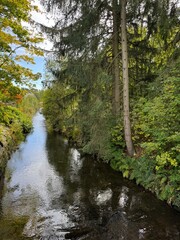 river Zwönitz in the forest at Einsiedel at near Chemnitz
