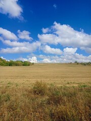 Fototapeta premium Field and sky 
