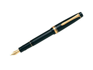 stylo plume de luxe