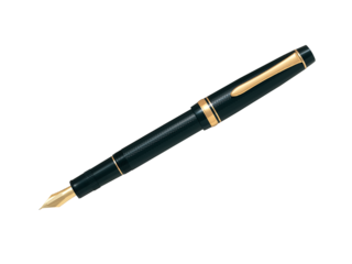 stylo plume de luxe
