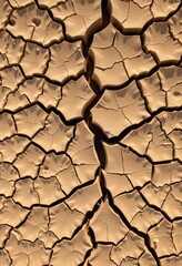 dry cracked soil