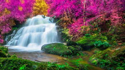 Amazing in nature, beautiful waterfall at colorful autumn forest in fall season	