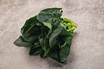 Ripe green spinach leaves heap