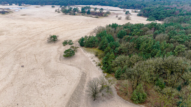Aerial view of serene dunes and lush forest with vibrant greenery, Soestduinen, The Netherlands.