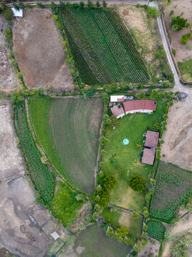Aerial view of green farmland with sowing patterns and a farmhouse, Malinalco, Mexico.