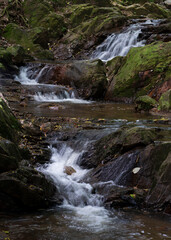 A small stream in the park