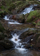 A small stream in the park