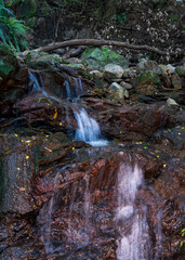 A small stream in the park