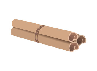 Cinnamon sticks bunch tied with rope. Cinnamon isolated on transparent and white background. Aromatic seasoning. Vector illustration. Close-up element for food design decoration. Spice.