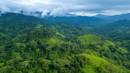 Fototapeta premium Lush Green Mountains with Cloudy Sky Aerial View