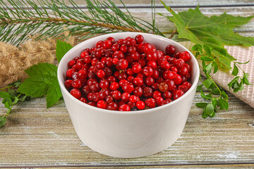 Natural organic wild forwst lingonberry
