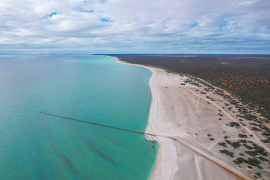 Aerial view of beautiful Shell Beach with pristine sand and turquoise waters, Shark Bay, Gascoyne Region, Australia.