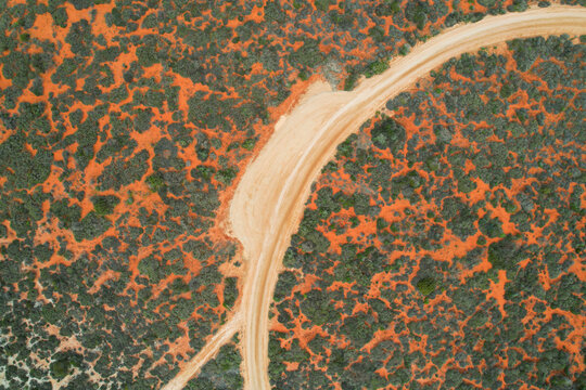Aerial view of Shell Beach sand track surrounded by beautiful vegetation and red earth, Shark Bay, Gascoyne Region, Australia.