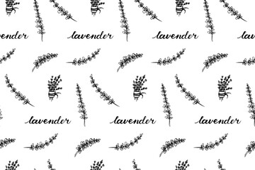 Lavender seamless pattern design. Purple blossom ornament. Hand drawn doodle flowers illustration