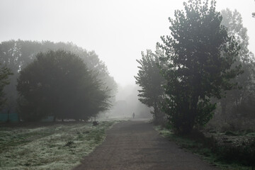 Camino entre bosques con neblina de un paisaje tenebroso y figuras negras