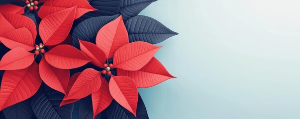Obraz premium Red and black poinsettias arranged in a festive Christmas bouquet, 3D illustration