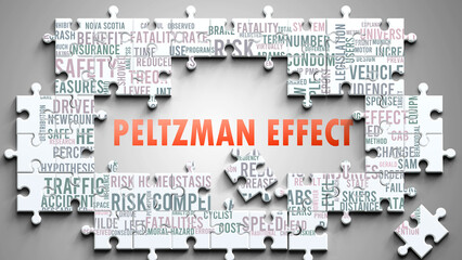 Peltzman Effect as a complex subject, related to important topics. Pictured as a puzzle and a word cloud made of most important ideas and phrases related to peltzman effect. ,3d illustration © GoodIdeas