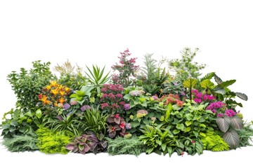 A vibrant garden featuring various plant species