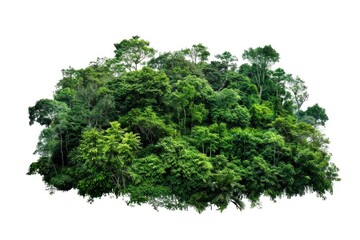 Fototapeta premium A group of trees floating above ground, suspended by unknown means