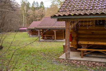 Small wooden log houses in a Czech forest on a cloudy, snowless winter day, no people.