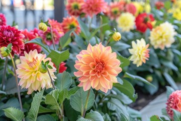 Fresh bouquet of colorful blooms growing in lush green grass